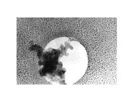 COMBINED TEST SPECIMEN