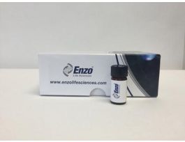 NF B SN50 CELL PERMEABLE INHI