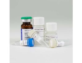 MAX ASSAY ADP-GLO LUMINESCENT 1000ASSAYS