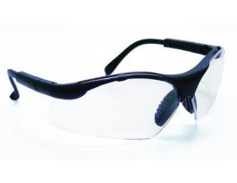 VWR GLASSES W/ADJ TEMPLES AF. PK