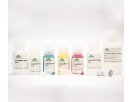 ZYMOPURE PLASMID MINIPREP (400 PREPS)