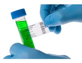 LABEL 1.77X0.79IN CRYO CLEAR LASR SH 1PK