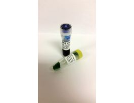 LADDER DNA 100 BP RTU PRE-MXD 50UG/500UL