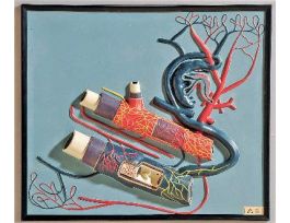 MODEL VEIN & ARTERY STRUCTURE