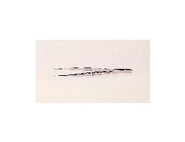 FORCEPS SPECIMEN NP 12IN