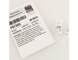 BACTEROIDES HEPARINASE II - 80