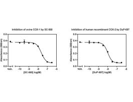 KIT COX COLORIMETRIC INH SCREENING ASSAY