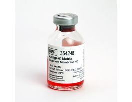 MATRIX MATRIGEL HIGH PROT 10ML.