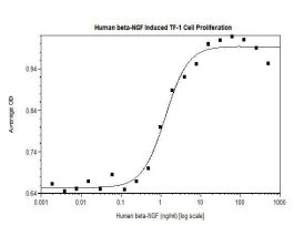 100-38AF-500UG HUMAN NGF-BETA (AF)