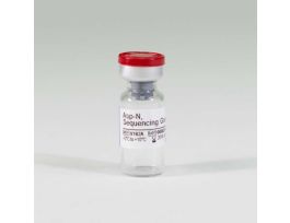 ASP-N SEQUENCING GRADE 2UG