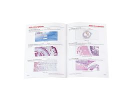 GENERAL CONNECTIVE TISSUE SET/25