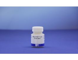 CELLMAXX BSA LOW ENDO 500GM