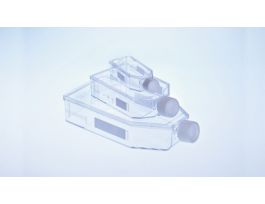 FLASK T182 550ML PLUG CAP CS50