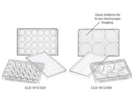 PLATE CELLCULTURE 24WELL 10MM