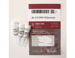 BST 3.0 DNA POLY M0374S