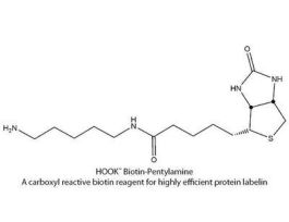 BIOTIN-PEG-AMINE HOOK 50MGF/PRT LBL