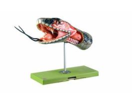 MODEL VENOMOUS SNAKE HEAD-SP