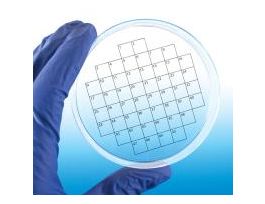 LABELS 16 SECTOR PIE PK36 PK