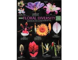 CHART FLORAL DIVERSITY 18X24 LAM