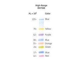 RAINBOW MARKERS FULL RANGE