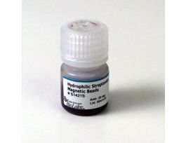 BEADS MGNTC HYDROPHIL STRPTVDN