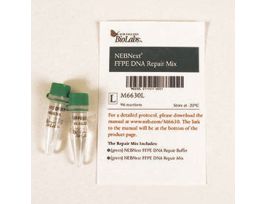 NEBNEXT FFPE DNA REP MIX 96RXN