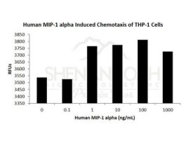 HUMAN MIP-1 ALPHA (CCL3) 5UG