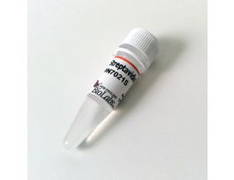 STREPTAVIDIN