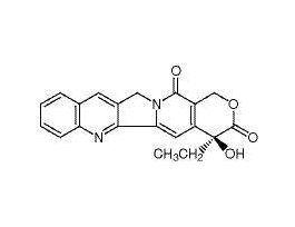 (S)-(+)-CAMPTOTHECIN 100MG