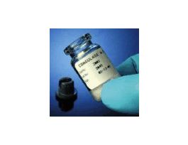 Rapid Bacterial Test Kit, Staphylococcus, rabbit plasma coagulase, 6 X 3 mL/kit