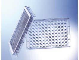 PLATE 384WL F/UV CS40