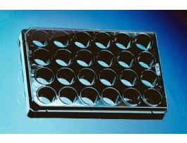 PLATE 24W PS NO BOT CLR CS28