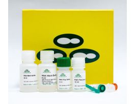 RECOVERY KIT ZR SMALL-RNA PAGE 20 PREPS