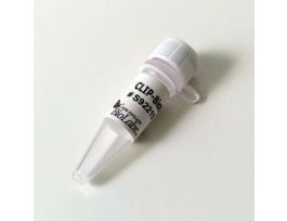 CLIP BIOTIN 50 NMOL.