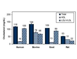 KIT AF HDL/LDL/VLDL ENZYCHROM* 100 TESTS