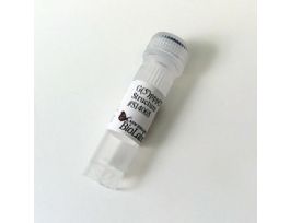 G(5')PPP(5')A RNA CAP - 5 UMOL