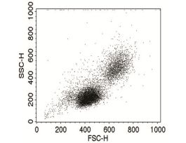 BUFFER CELL PERMEABILIZATION BLOKG 100ML