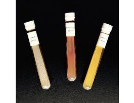 BACTERIA CLASSIFICATION SET (3 CULTURES)