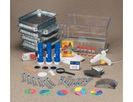 EXPLORING PROPAGATION OF LIGHT & COLOR L