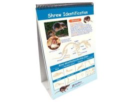 CHART SET OWLS/PELLETS NEW CS