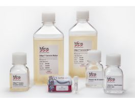 CHOGRO EXPRESSION SYSTEM KIT1