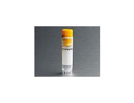 CRYOVIAL 2.0ML YEL CAP CS500