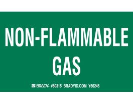 NON-FLAMMABLE GAS Labels, 3" H x 5" W x 0.0038" D, White on Green