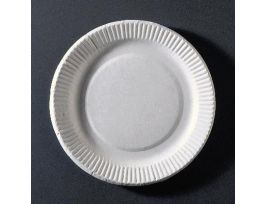 PAPER PLATES, 6 DIAM, PKG/100 CS