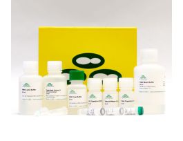 MINIPREP PLUS QUICK-RNA DNA-FREE 50PREPS