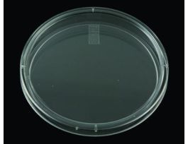 VWR PETRI DISH FULL STCK CS600