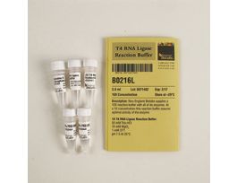 T4 RNA LIGASE REACTION BUFFER.