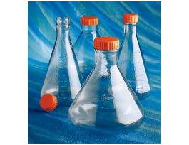 FLASK ERLEN 250ML VENTCAP CS50