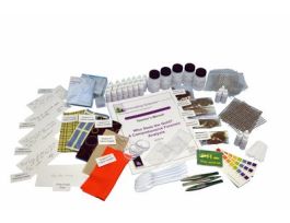 WHO STOLE THE GOLD?.