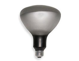 LAMP - INFRA RED 250WATT R40